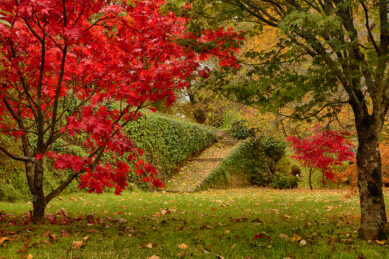 Casa de Tibães, Dume, Braga, Alojamento, luxo