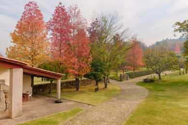 Casa de Tibães, Dume, Braga, Alojamento, luxo