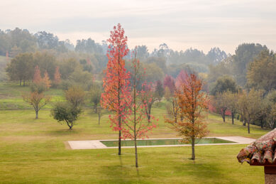 Casa de Tibães, Dume, Braga, Alojamento, luxo