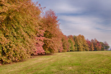 Casa de Tibães, Dume, Braga, Alojamento, luxo