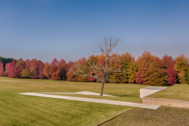 Casa de Tibães, Dume, Braga, Alojamento, luxo